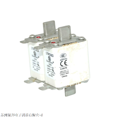 巴斯曼熔断器170M6713原装正品