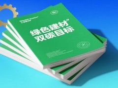 环保建材市场前景分析：潜力无限，机遇与挑战并存！