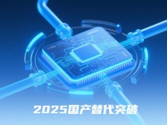 2025 年：国产磁力泵凭借纳米隔离套技术突破，在半导体高纯流体输送领域实现进口替代